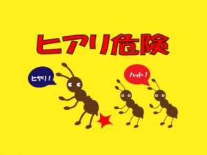 ヒアリが犬に！さされた時の対処法は？